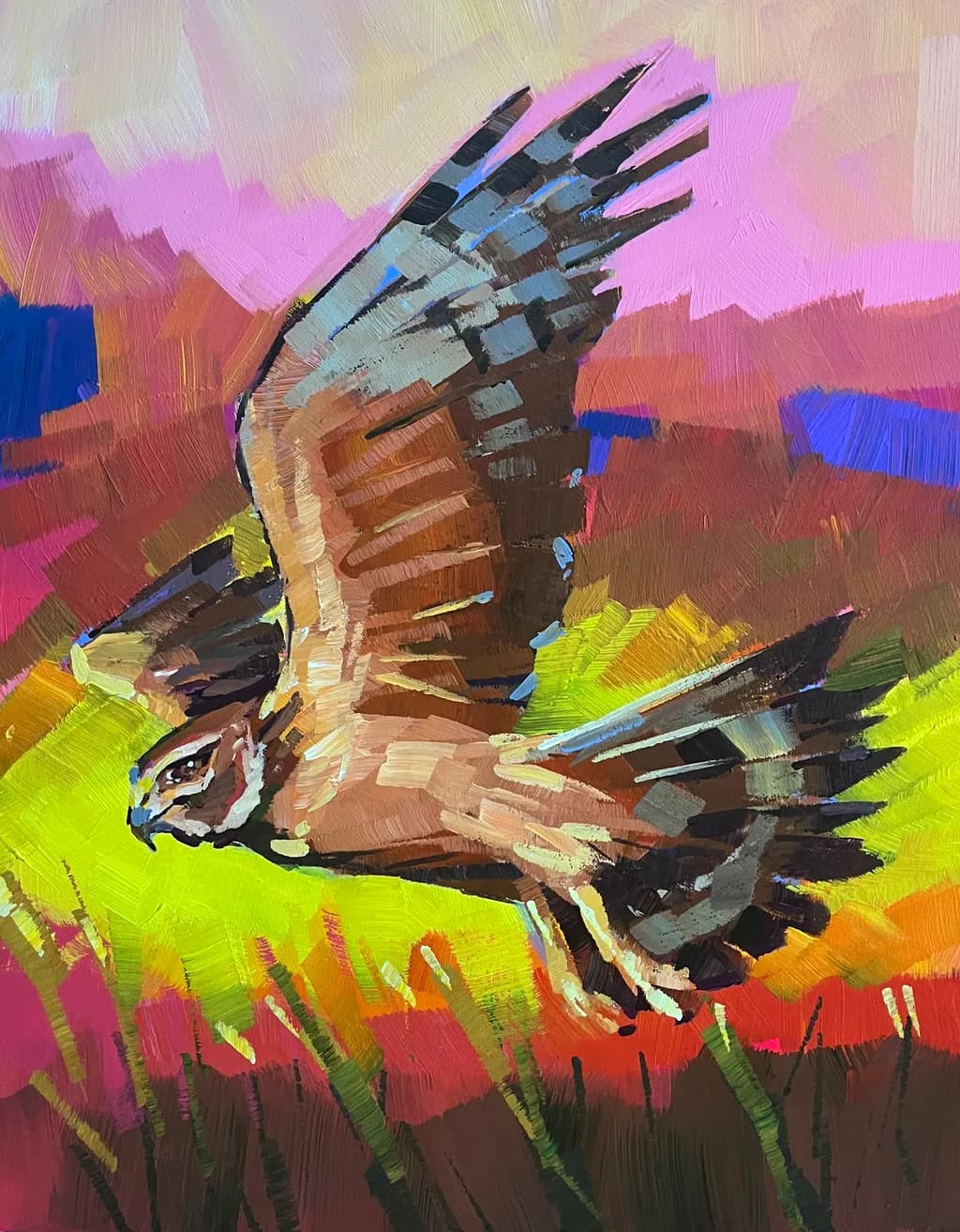 Harrier Hawk Flight