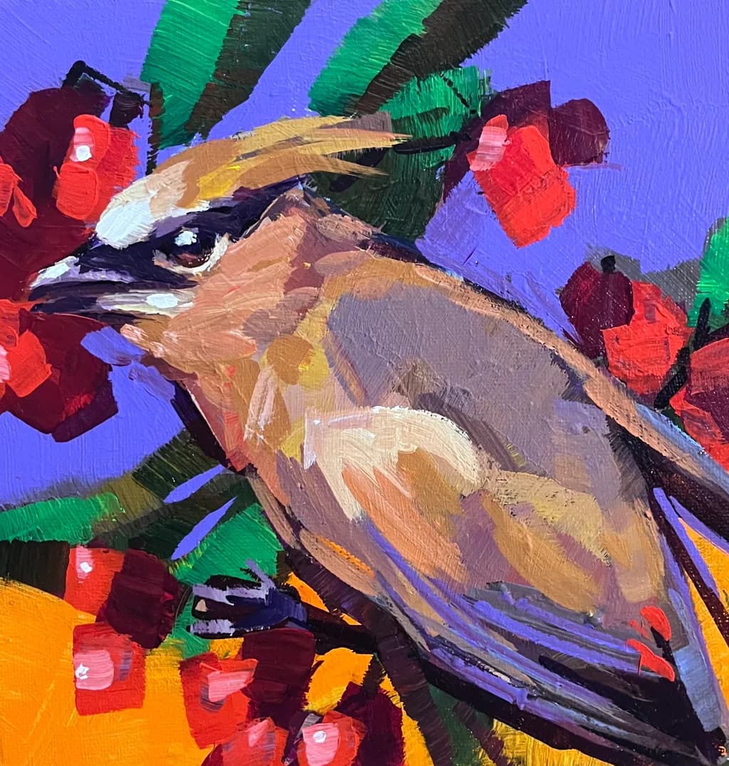 Waxwing with Toyon