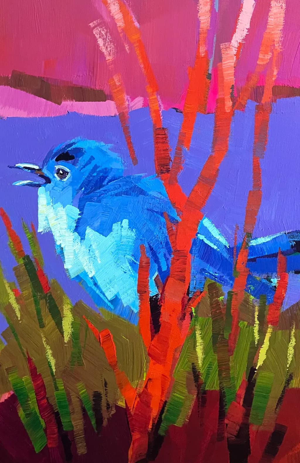 Crimson Thicket Bluebird