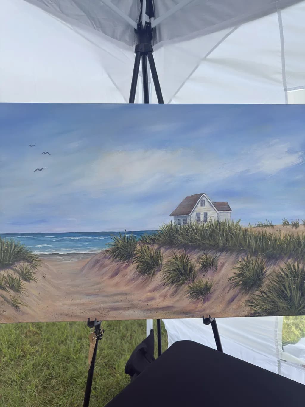 Beach House Path