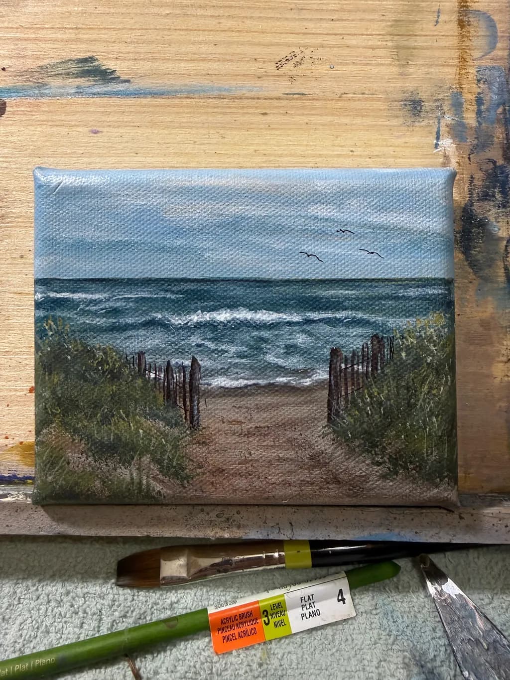 Beach Path Ocean View