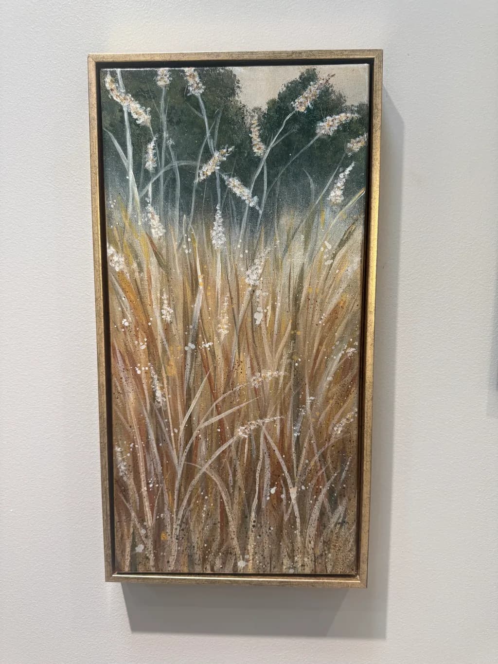 Field of Tall Grass
