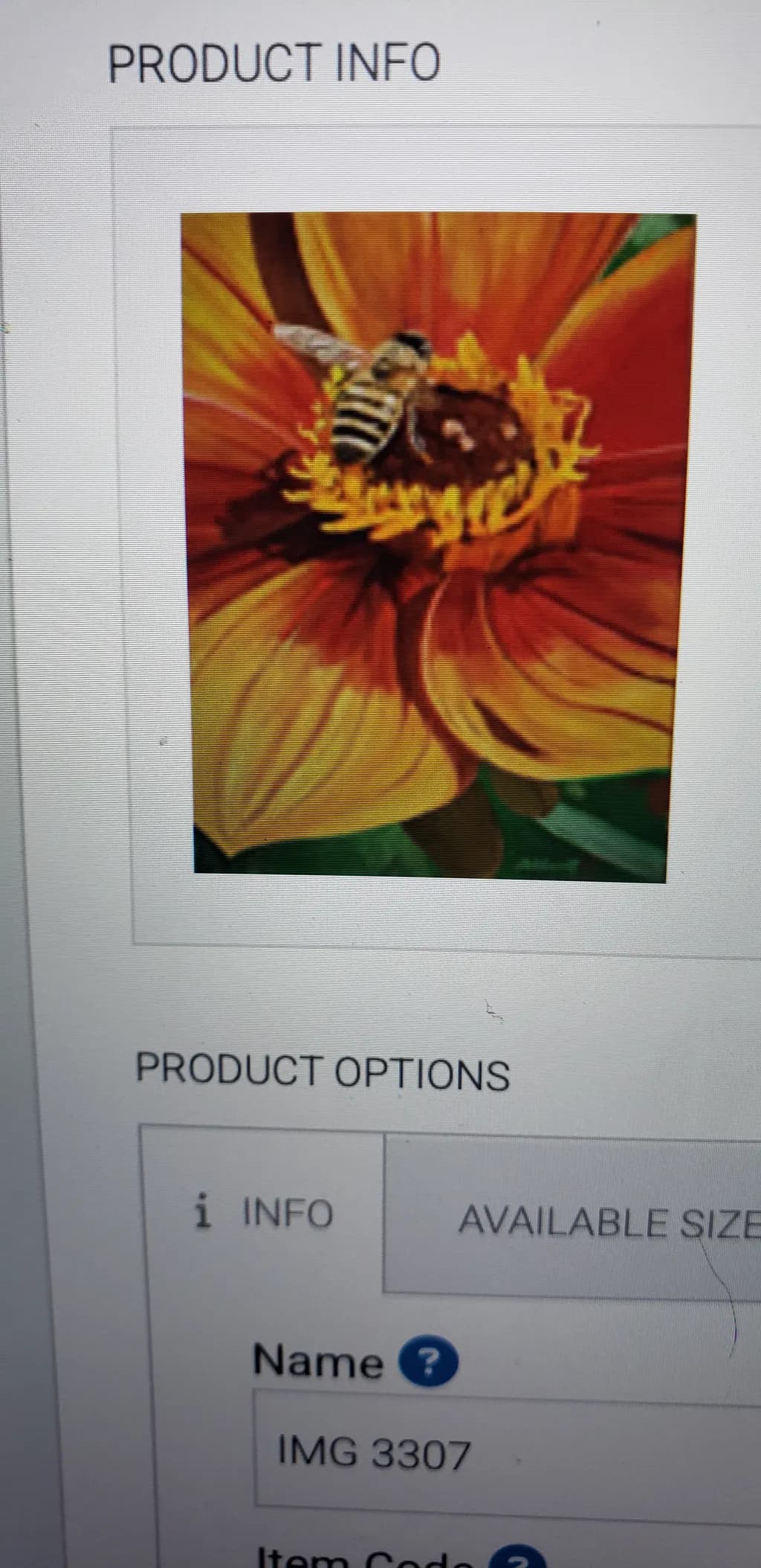 Bee on Flower