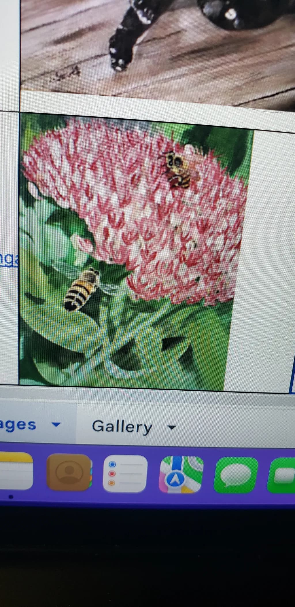 Bee Blossom