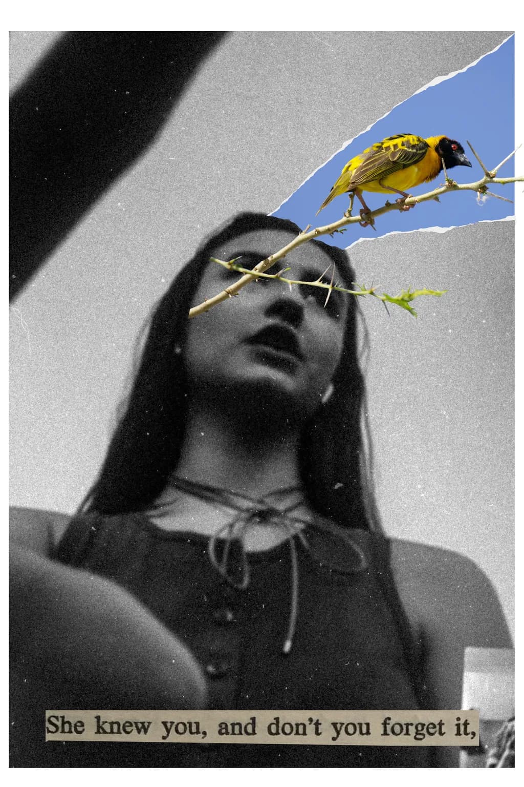 Forget Me Not