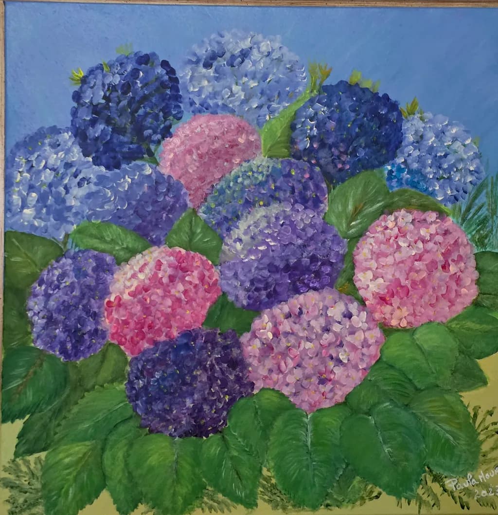 Hydrangea Harmony
