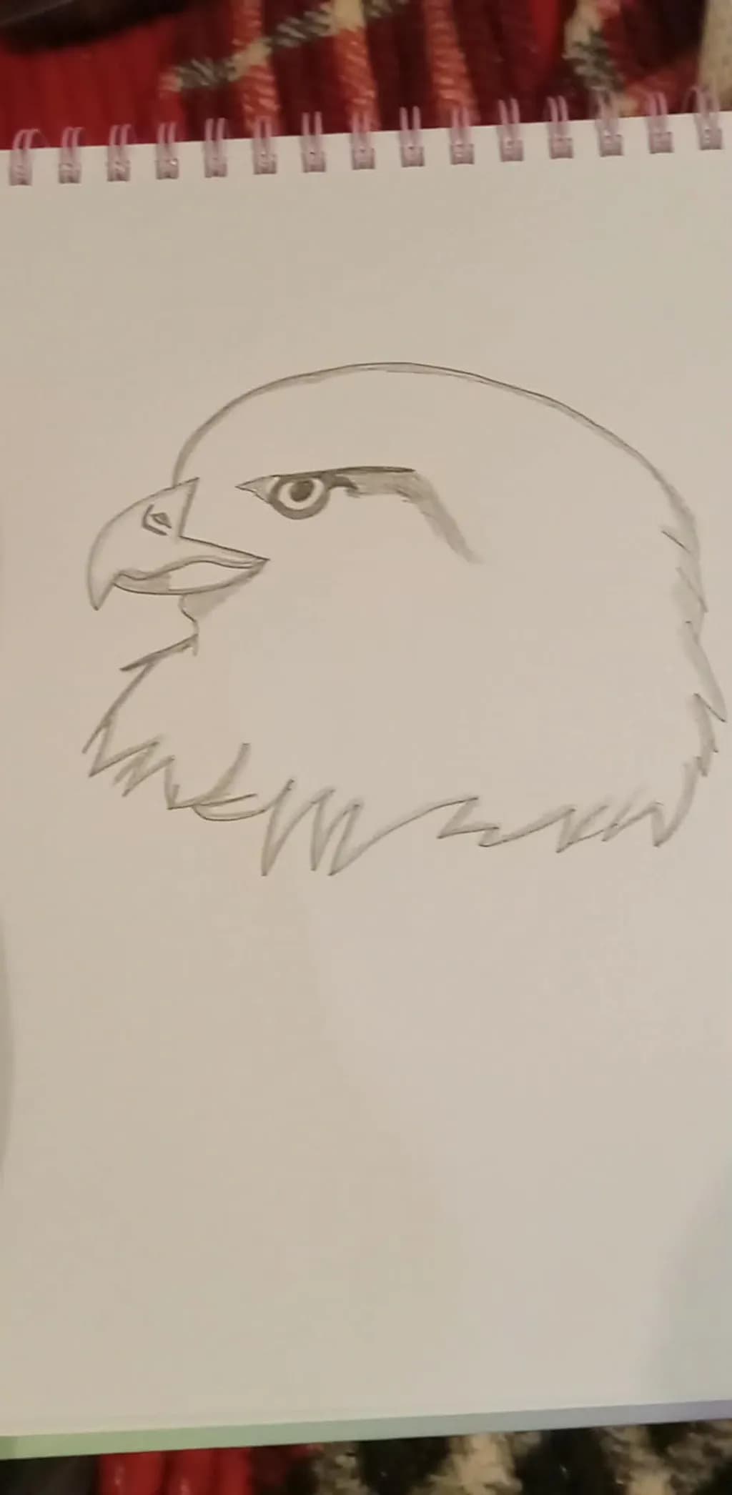 Eagle Profile Sketch