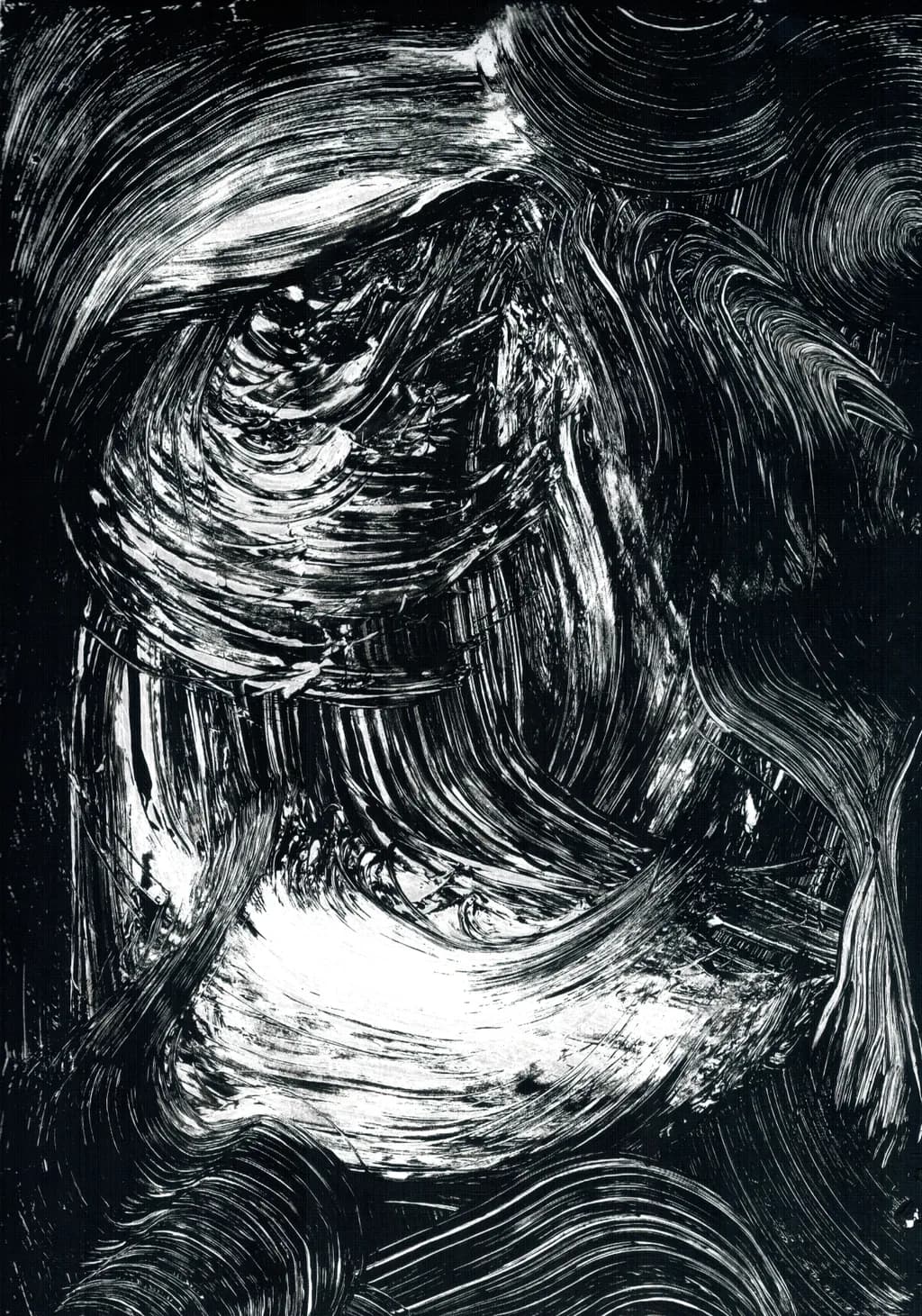 Whispers of Monochrome: A Dance of Texture and Contrast