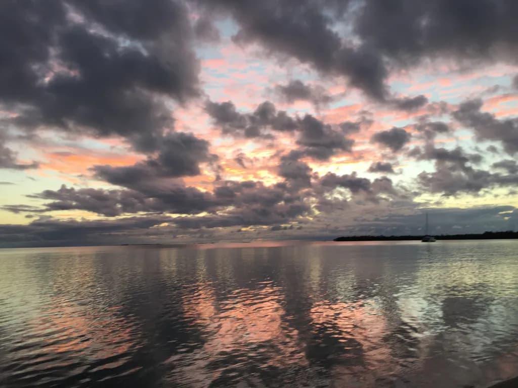 Pink Water