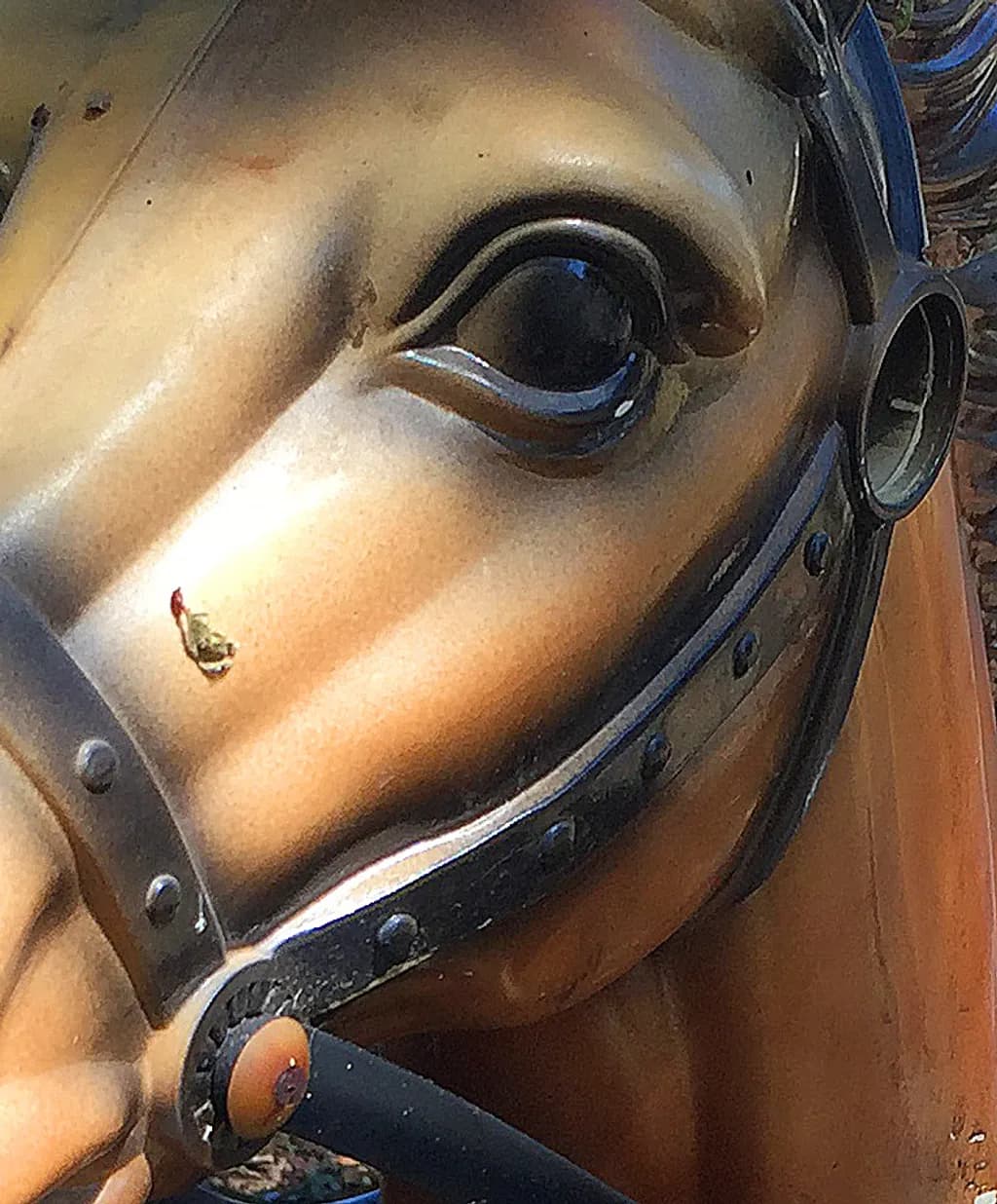 Wonder Horse