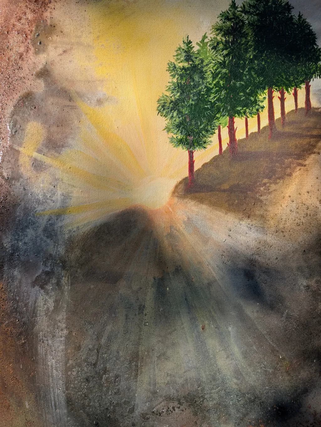 Serene Sunrise: A Tranquil Landscape of Trees and Light