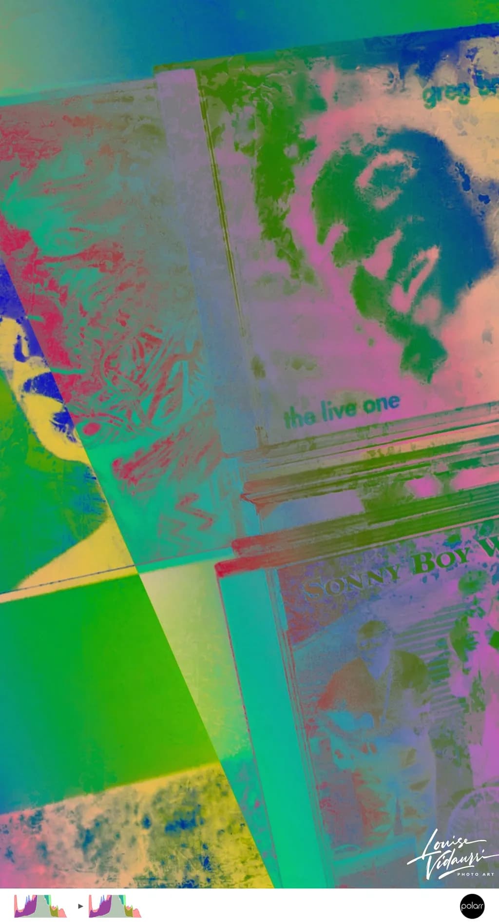 Vibrant Echoes: A Kaleidoscopic Tribute to Musical Memories