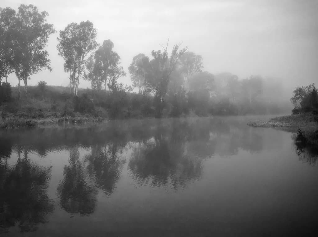 Mistbound Reflections