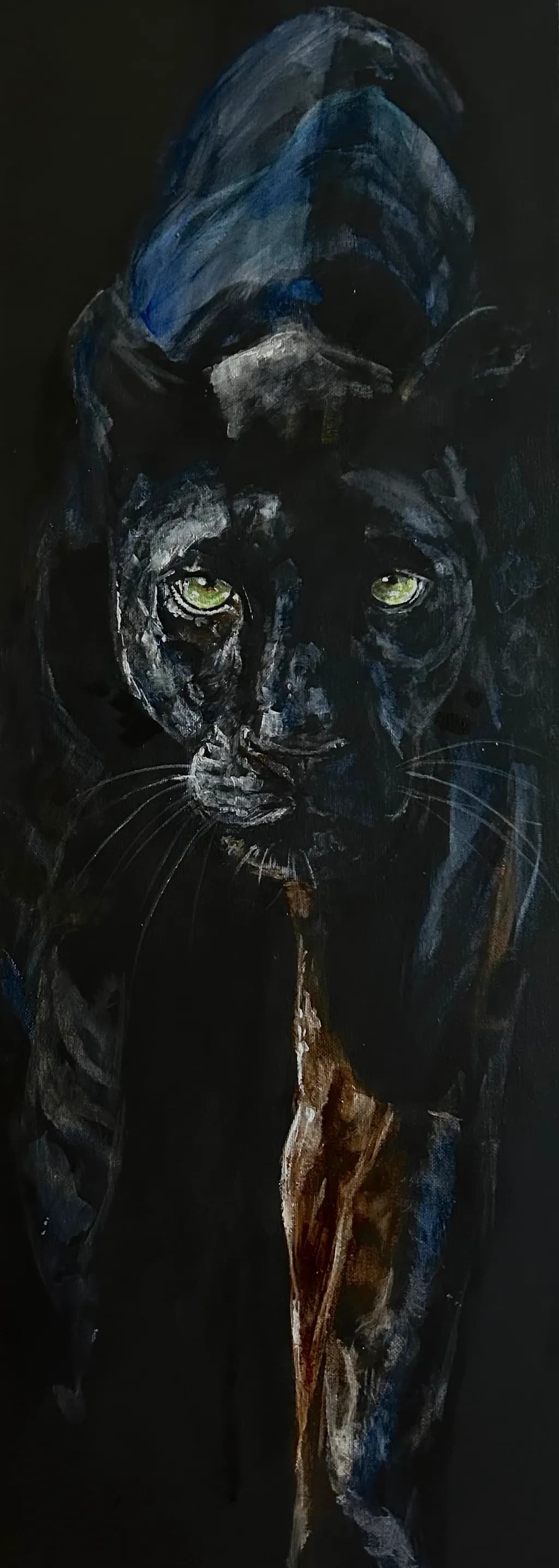 Mystique of the Midnight Panther: A Captivating Portrait of Nature's Elegance