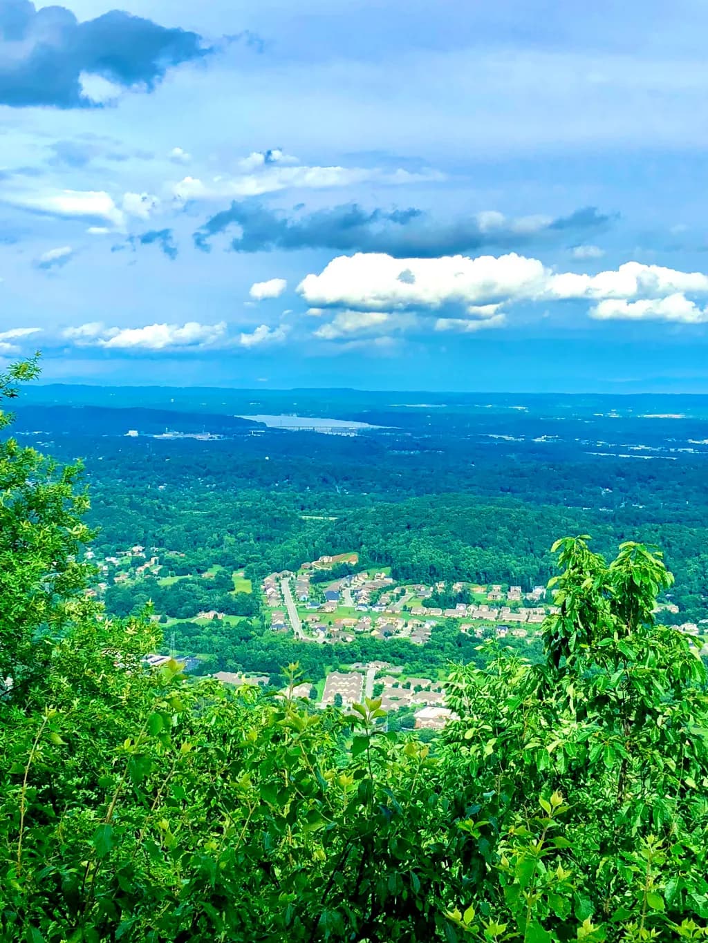 Rolling Hillscape