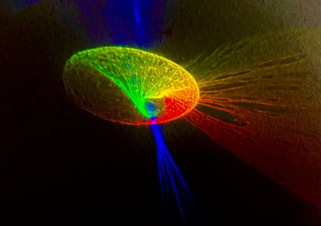 Spectral Vortex