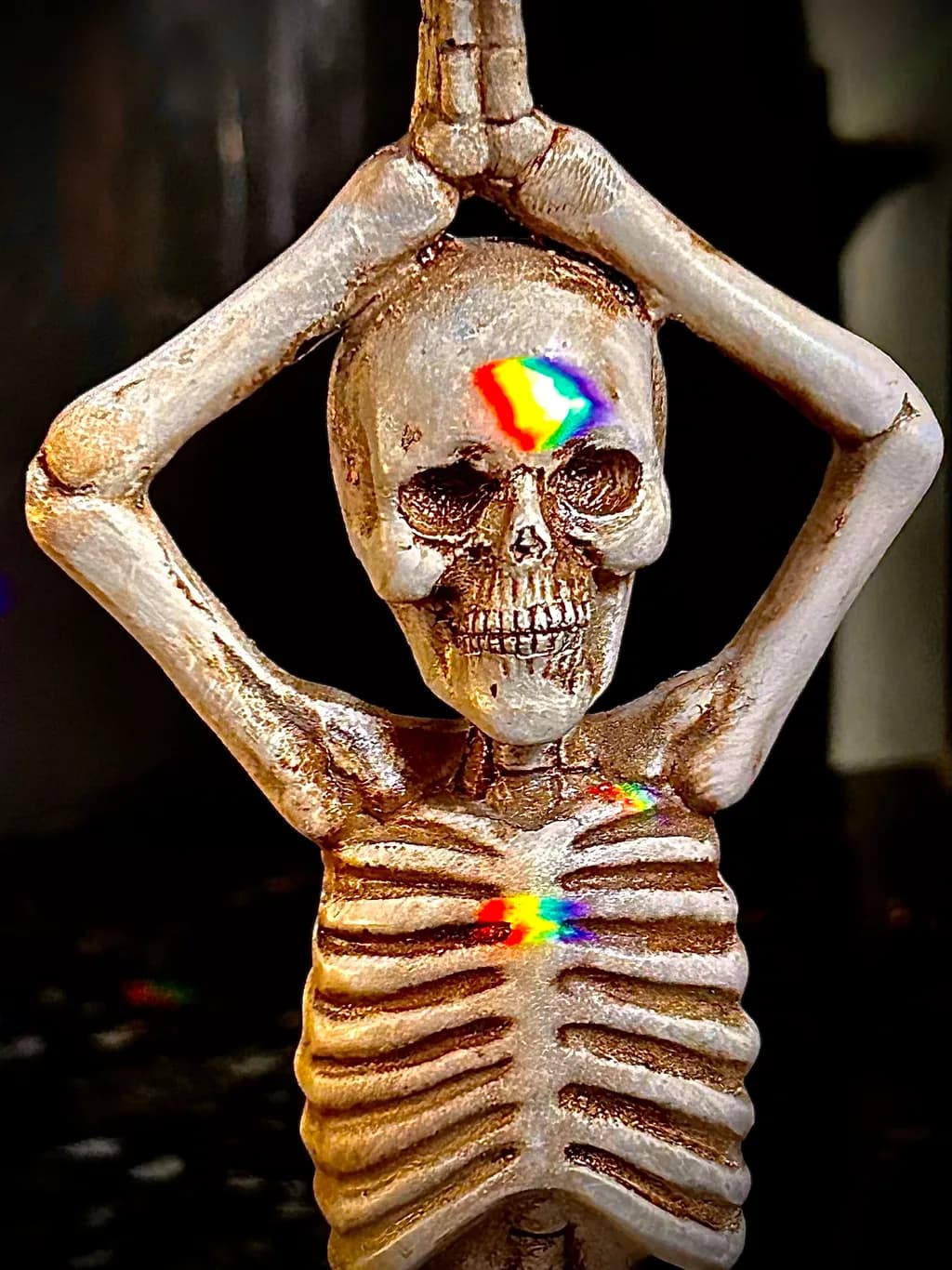 Rainbow Reflection Skeleton