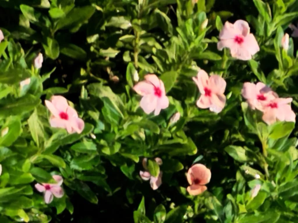 Whispers of Spring: A Blooming Symphony in Pink and Green