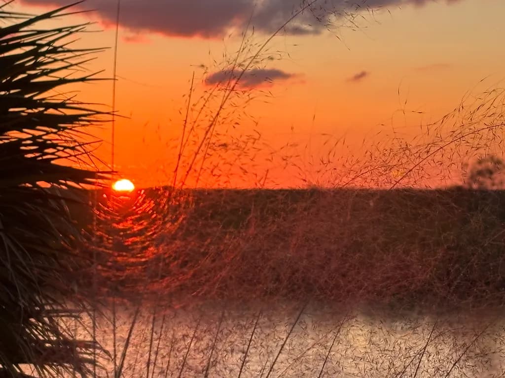 Sunset Reflection
