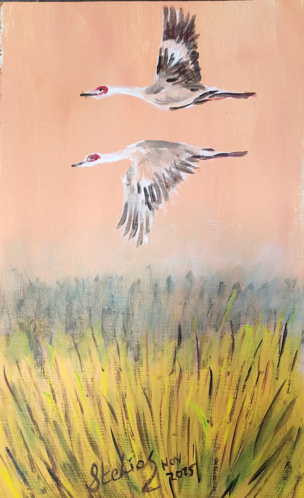 Flight Over Reeds