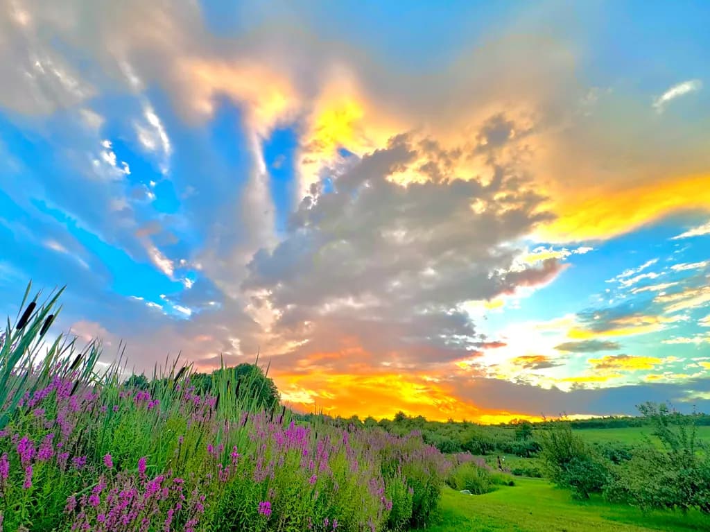 Whispers of Twilight: A Vibrant Sunset Over Blooming Fields