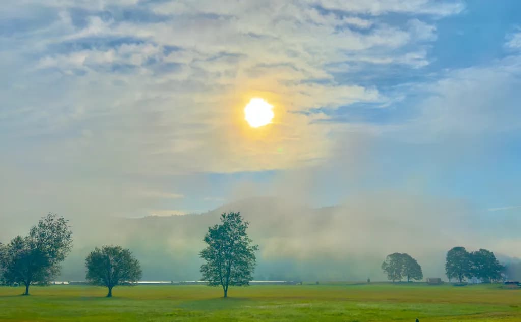 River fog on farmland