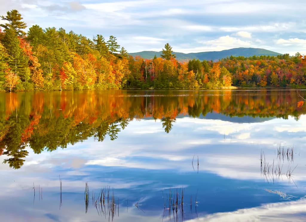 Autumn's Reflection: A Serene Lake Embraced by Vibrant Foliage