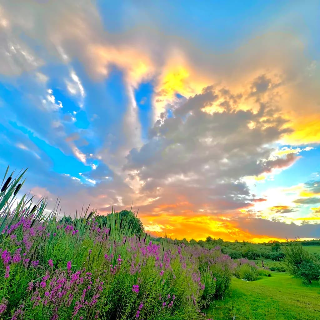 Whispers of Twilight: A Vibrant Sunset Over Blooming Fields