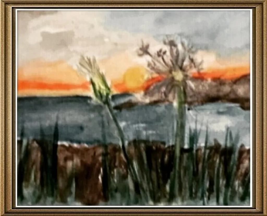 Sunset Bloom