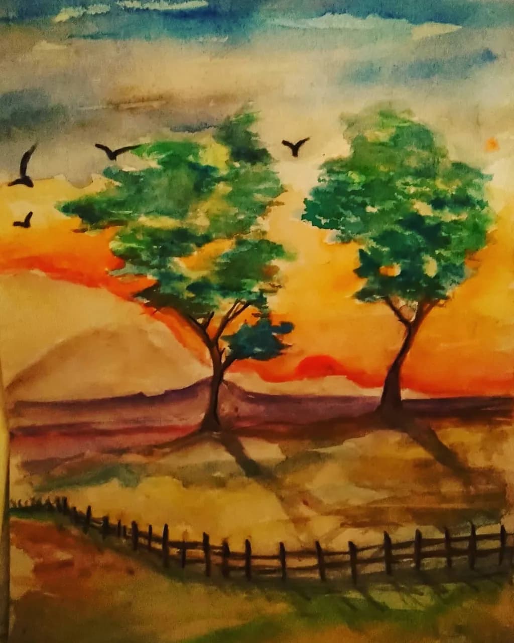 Sunset Grove
