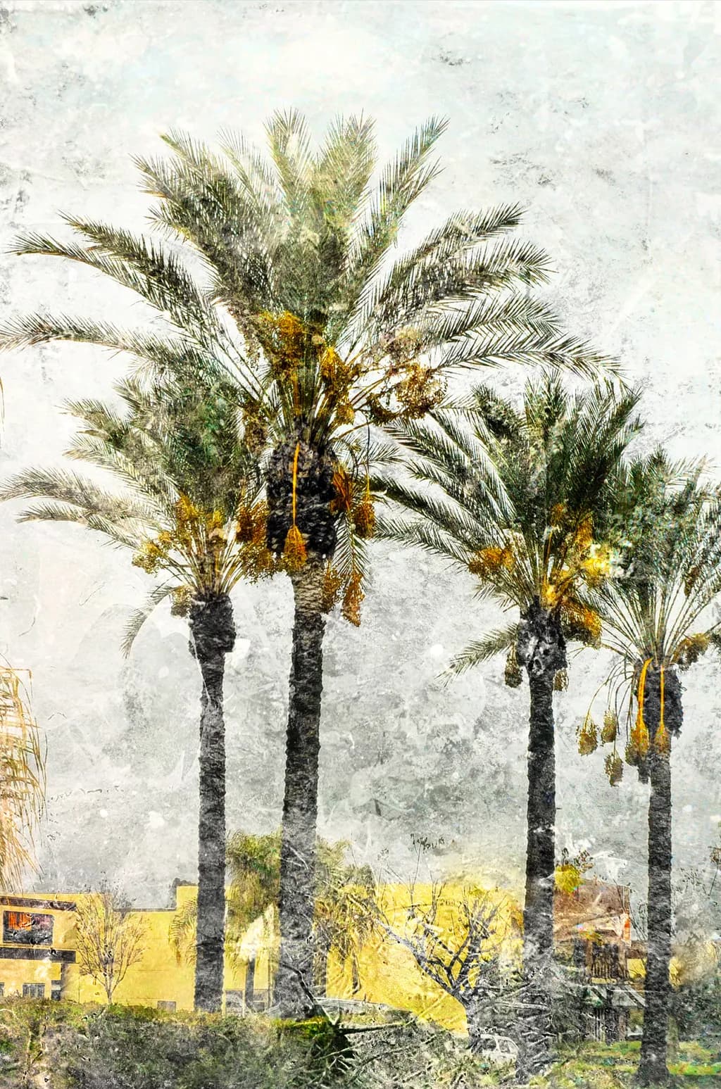 Palms in Textures