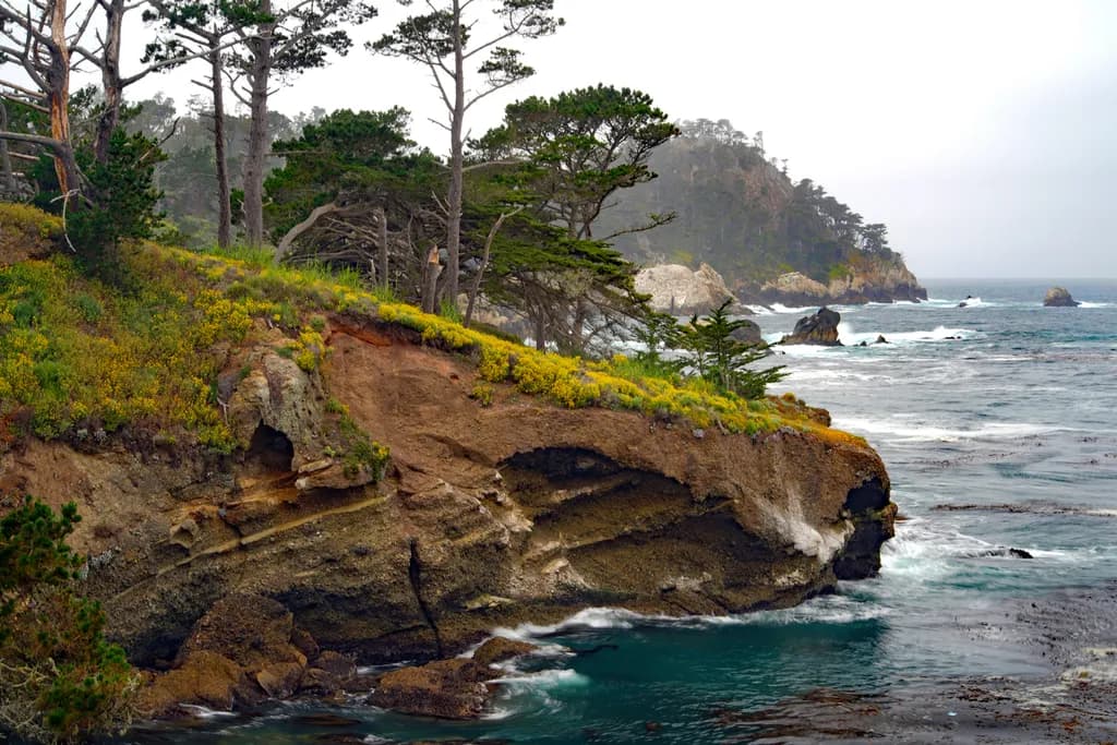 Coastal Serenity