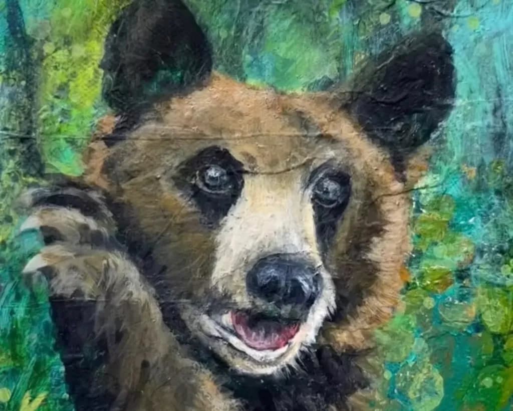 Curious Cub