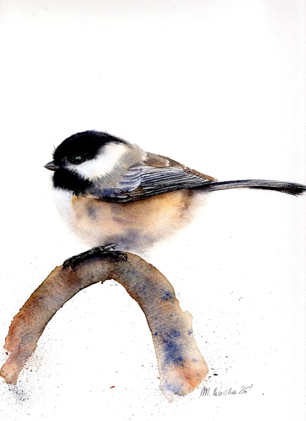 Chickadee Resting