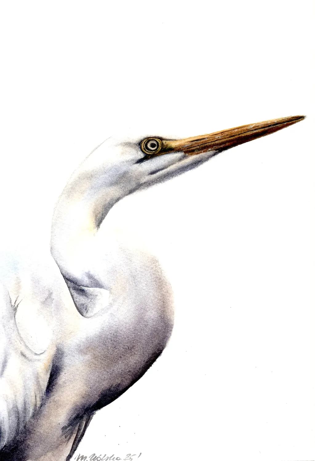 Silent Gaze