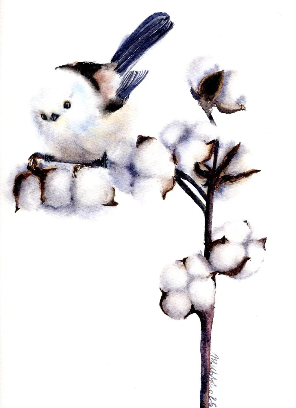 Cotton Perch