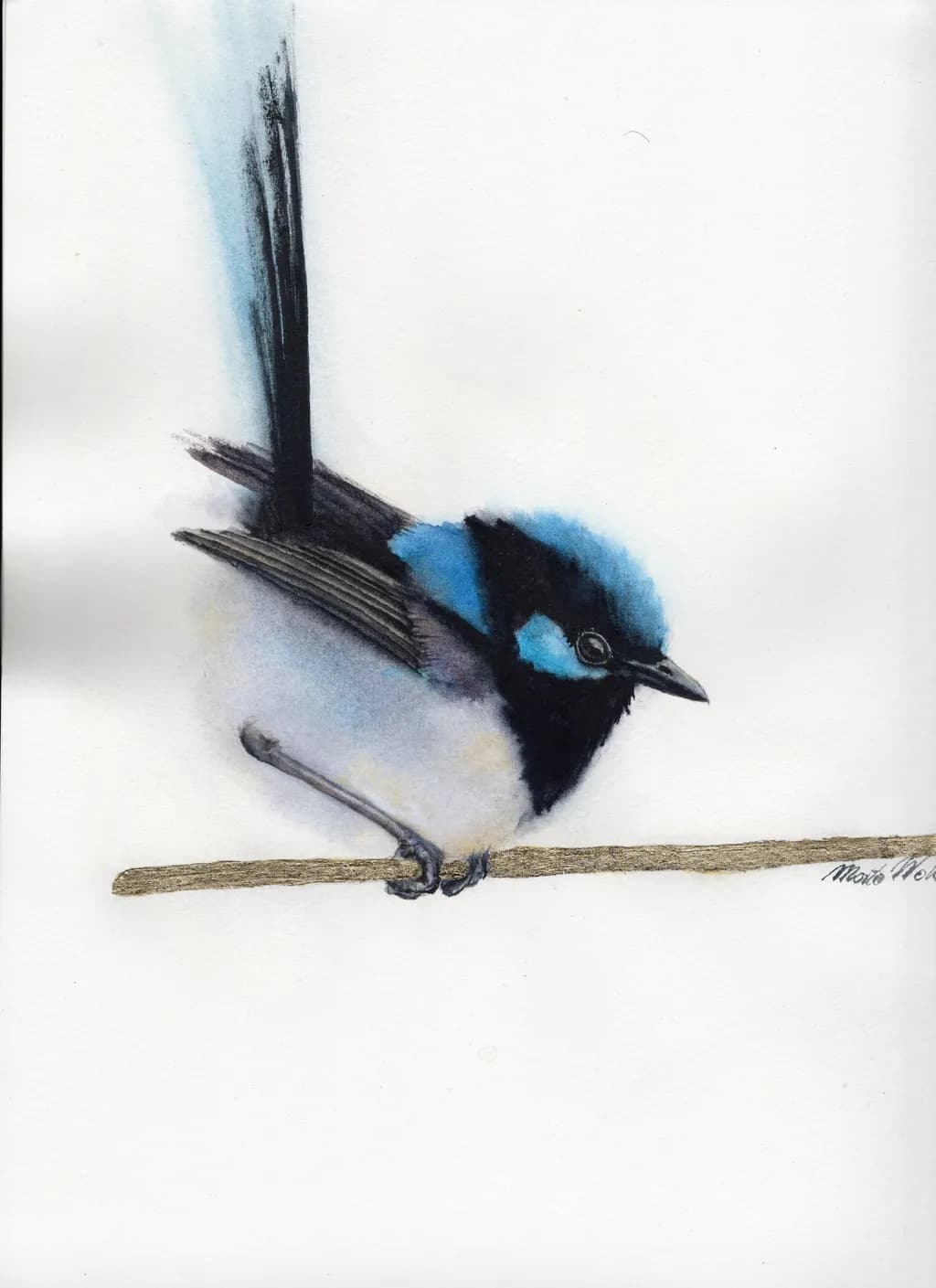 Blue Wren Perch