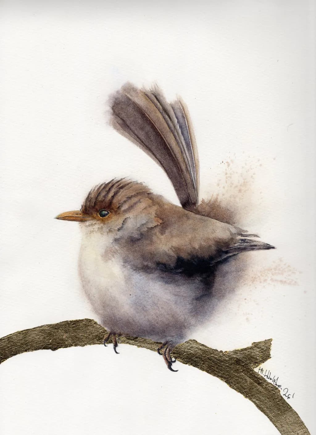 Perched Softness