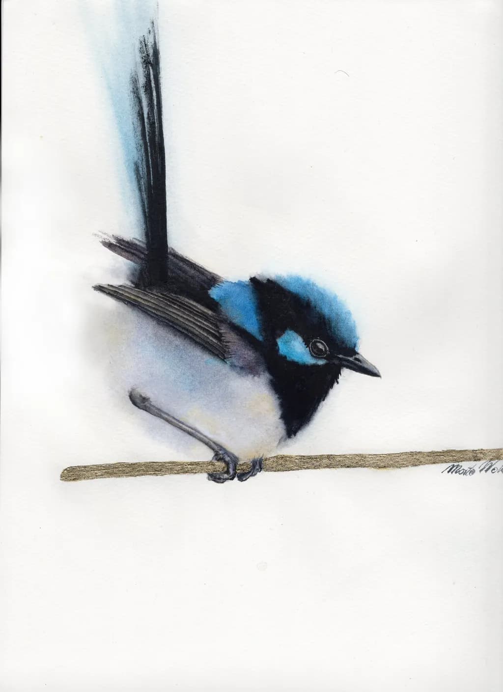 Blue Wren Pose
