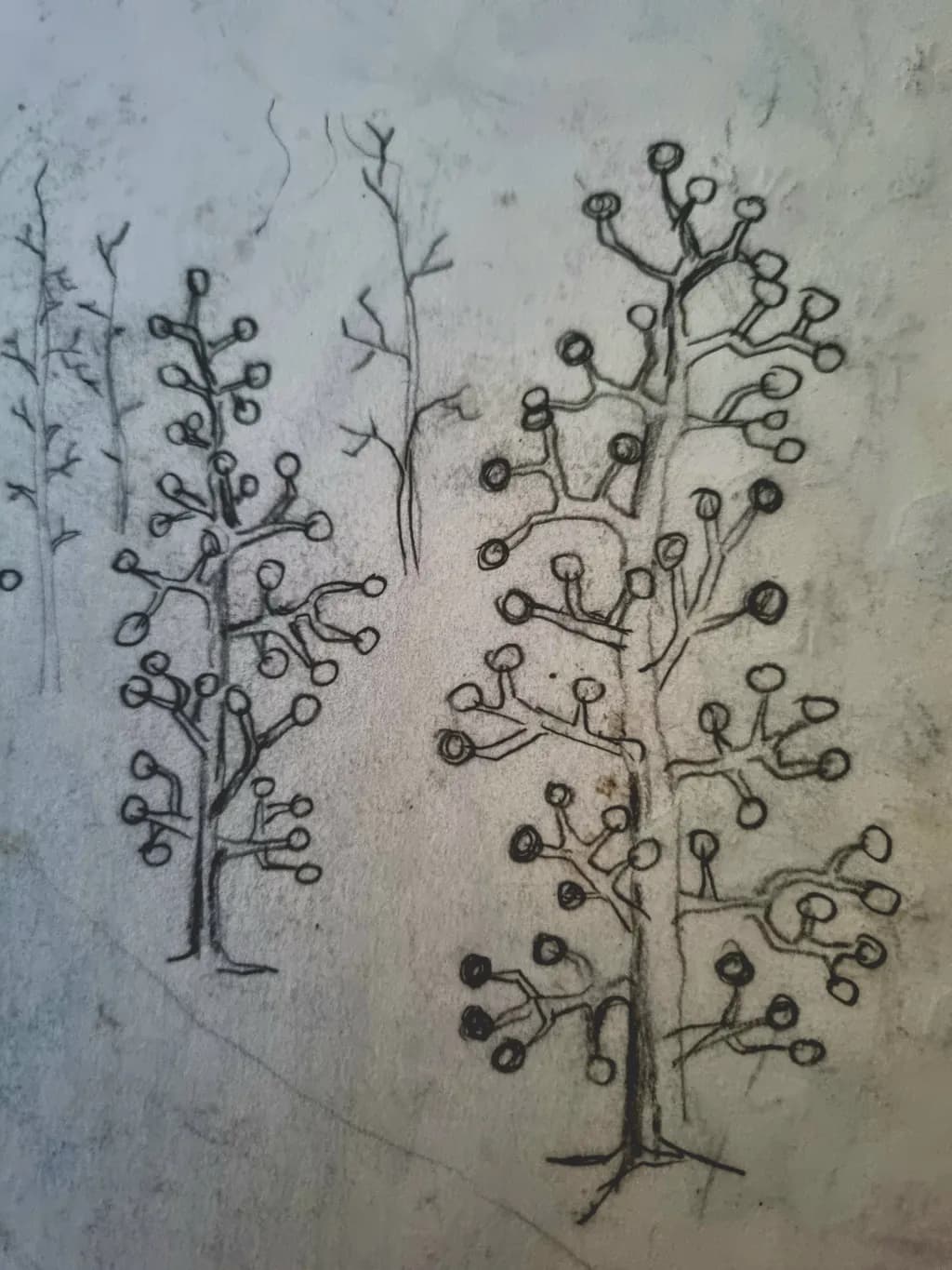 Whimsical Forest: A Dance of Abstract Trees and Nature's Curves