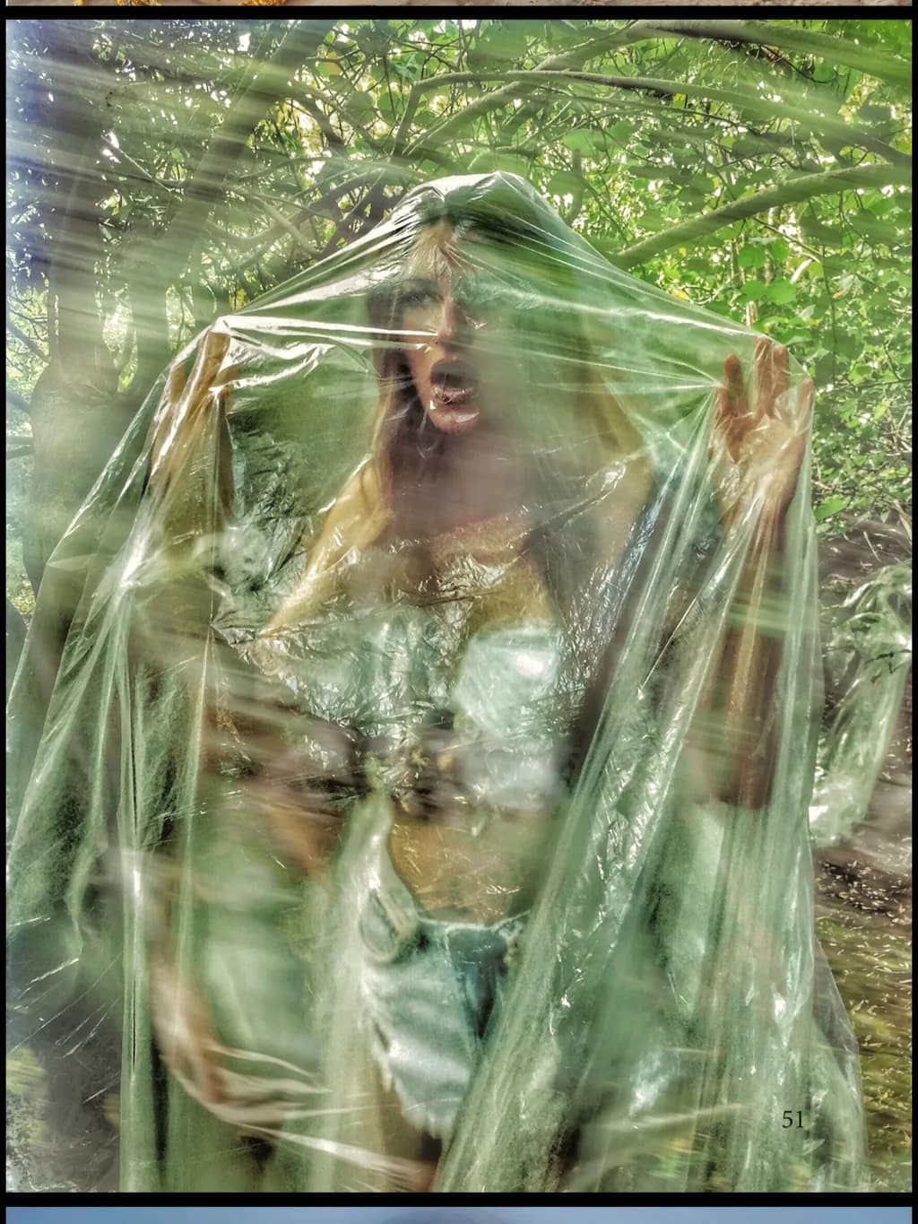 Veiled in the Forest