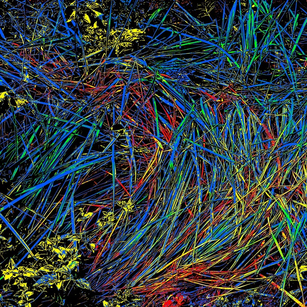 RHYTHMS OF CHAOS