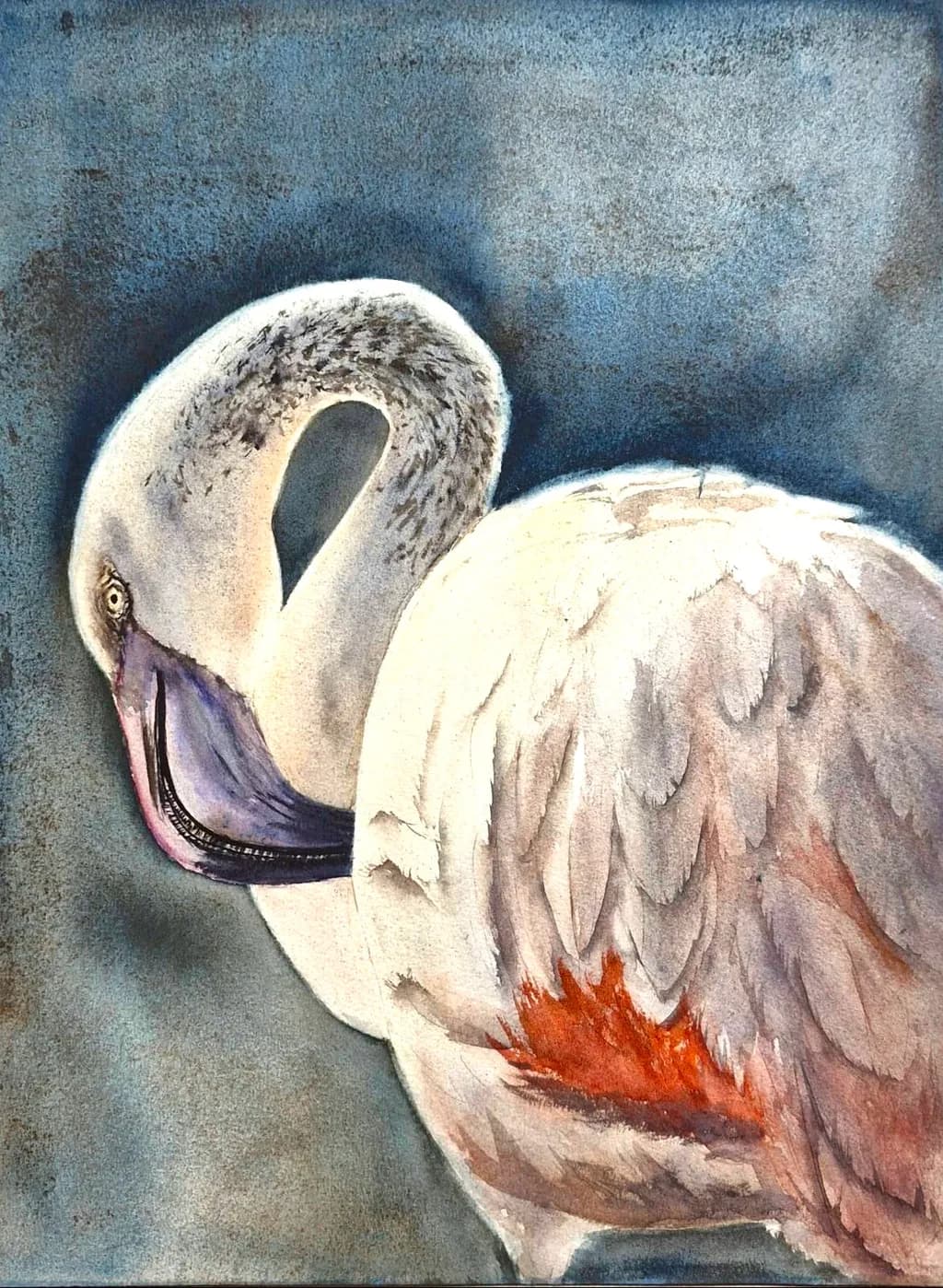 Summer in feathers