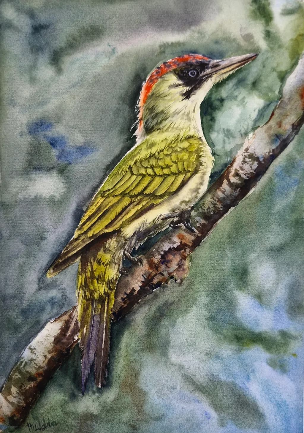 Whispers of the Forest: A Vibrant Watercolor of a Woodpecker Perched in Nature's Embrace