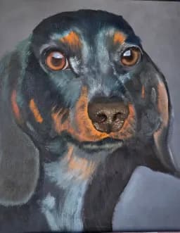 Portrait of a Dog