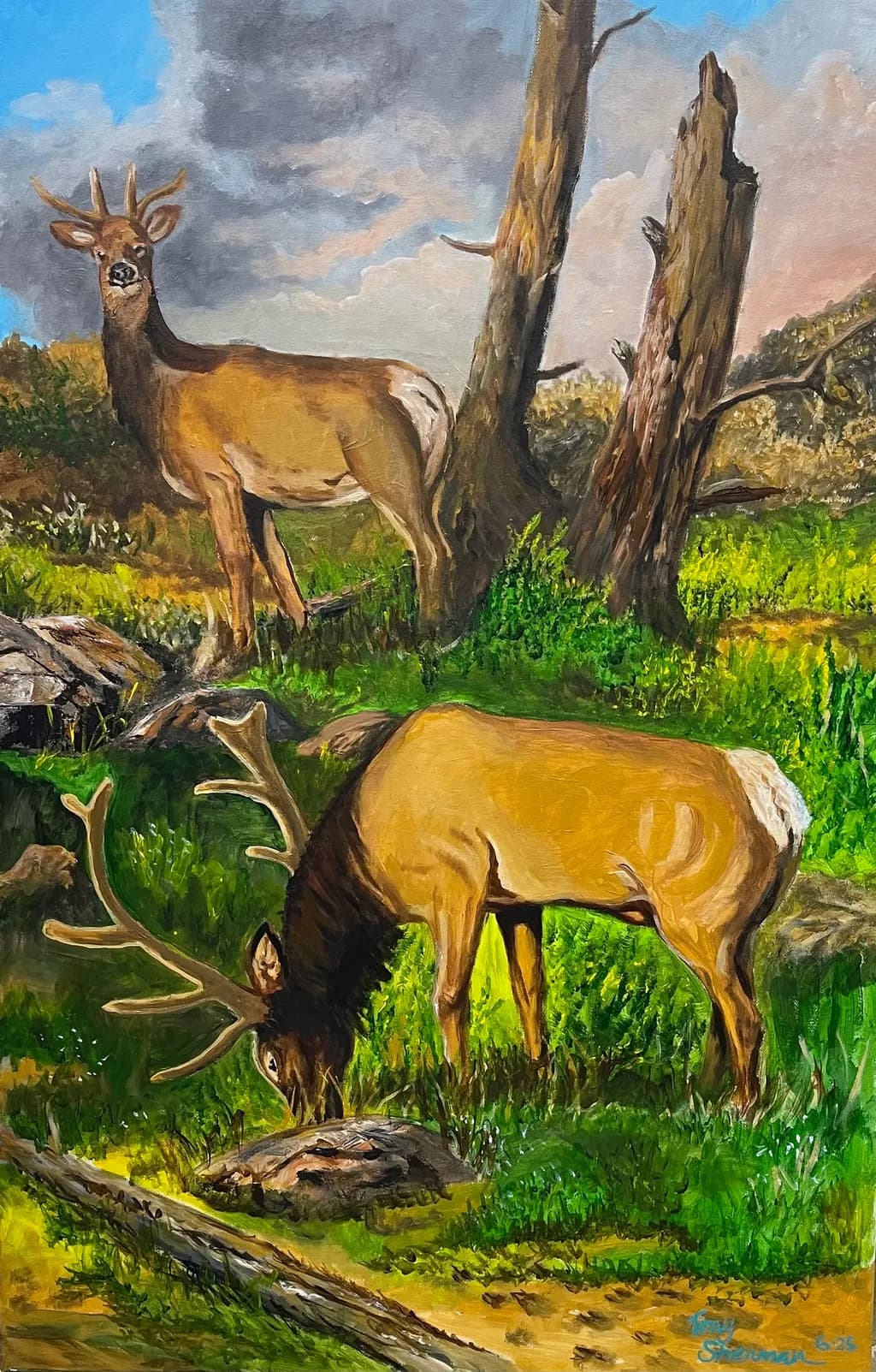 Majestic Whispers of the Forest: A Serene Encounter with Deer in Nature's Embrace