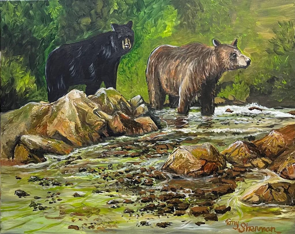Bears in Tranquil Waters: A Serene Forest Encounter