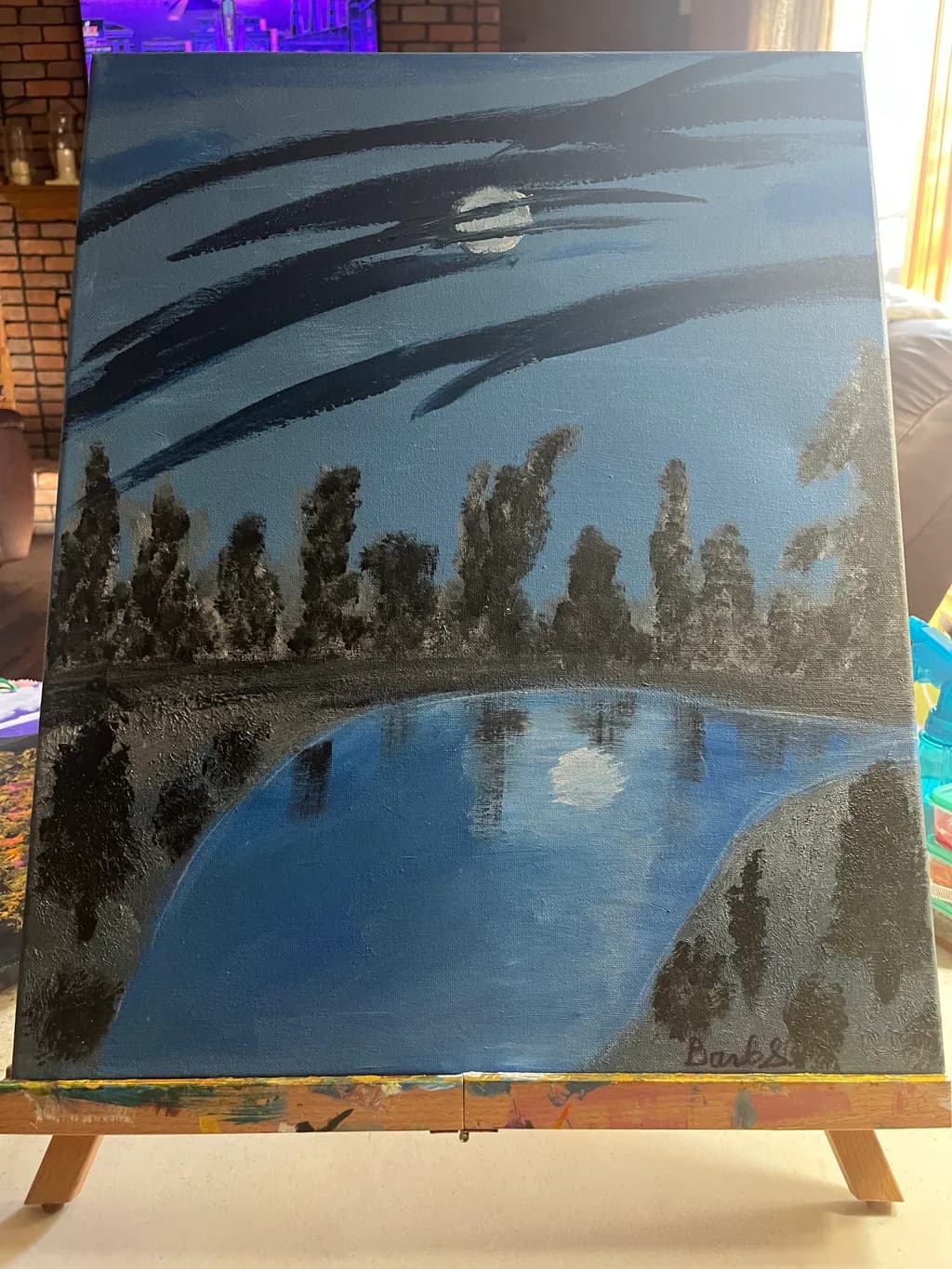 Moonlit Reflection