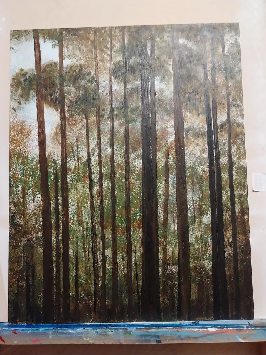 Whispers of the Forest: A Serene Journey Through Tall Pines and Soft Light