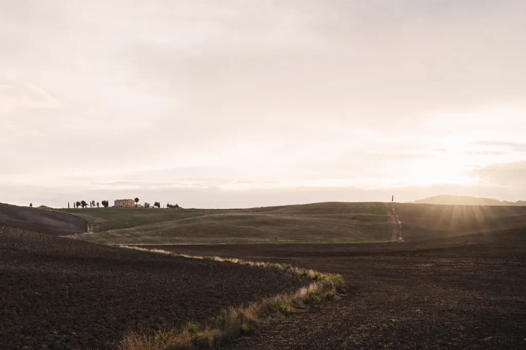 Whispers of Dawn: A Serene Landscape Embraced by Light